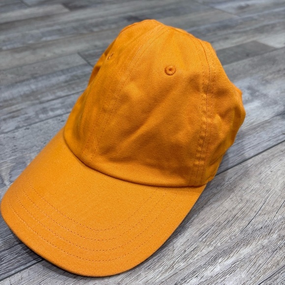 Aritzia TNA Dad Cap - Picture 2 of 7